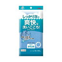 【今だけお得!数量限定セール】キクロン ファイン シャスター かため ブルー (4548404201464)◇