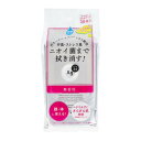 【×2個 配送おまかせ】ファイントゥデイ エージーデオ24 クリアシャワーシート 無香料 30枚入