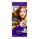 ダリヤ サロンドプロ 泡のヘアカラー エクストラリッチ 白髪用 2B 明るいベージュブラウン 白髪染め