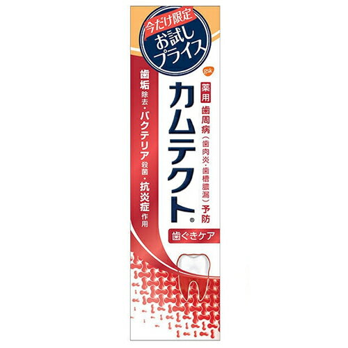 【数量限定 お試しサイズ】カムテクト 歯ぐきケア お試し品 105g 医薬部外品 歯槽膿漏予防 お試しプライス 歯磨き粉 4901080770011 無くなり次第終了