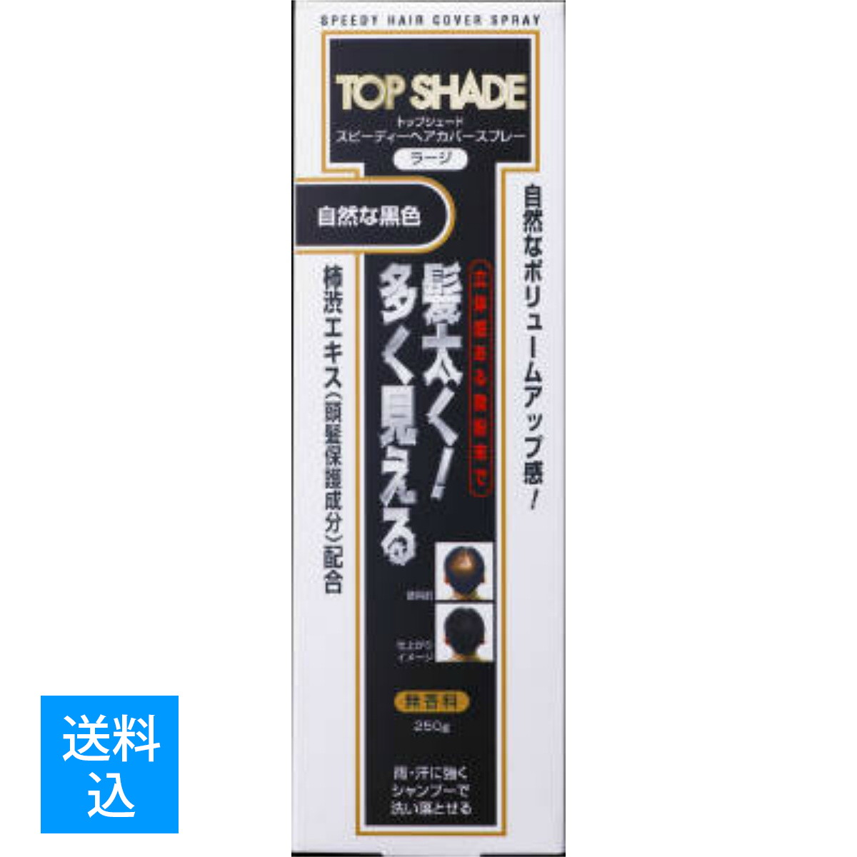 【送料込】柳屋本店 トップシェード ヘアカバースプレー ラージ 自然な黒色 250g 4903018215045