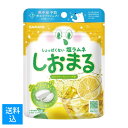 【配送おまかせ送料込】サラヤ しおまる ひんやり レモンソーダ味 30g 暑さ対策 塩ラムネ