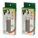 【送料込・まとめ買い×2個セット】耳洗潔 ( みみせんけつ ) 耳用ローション 20ml 癒し職人シリーズ ( 耳そうじ ) ( 4524091113006 )