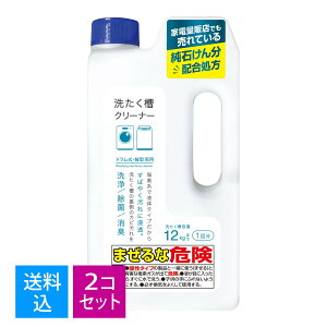 【送料込・まとめ買い×2個セット】リィードジャパン 塩素系 洗たく槽クリーナー 750g 家電量販店でも売れている液体タイプ 4589654890053