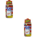 【送料込・まとめ買い×2個セット】ロケット石鹸 洗たく槽クリーナー スッキリ 550g