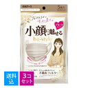 【送料込・まとめ買い×3個セット】白元アース ビースタイル プリーツタイプ ふつうサイズ ミルクティーベージュ 5枚入(4)