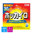 【送料込・まとめ買い×3個セット】【興和】ホッカイロ　貼らないレギュラー　30個入り ( 使い捨てカイロ ) ( 4987067826308 )※無くなり次第終了