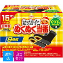 【送料込・まとめ買い15足分×3個セット】興和 ホッカイロ ぬくぬく当番 くつ下用 15足分( 使い捨て 靴下用 カイロ 寒さ対策 )