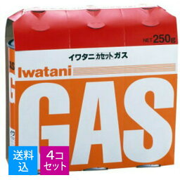 【送料込・まとめ買い×4個セット】岩谷産業 イワタニ カセットガス カセットボンベ オレンジ 3本パック CB-250-OR