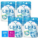 【×4個 配送おまかせ送料込】サラヤ しおまる ひんやり サイダー味 30g 暑さ対策 塩ラムネ