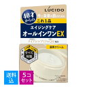 【送料込・まとめ買い×5個セット】マンダム ルシード 薬用パーフェクトスキンクリームEX 90g エイジングケア 医薬部外品