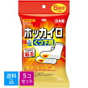 【送料込・まとめ買い×5個セット】興和新薬 ホッカイロ 靴下用 5足分 1個