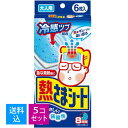 【送料込・まとめ買い6枚×5個セット】小林製薬 熱さまシート お買い得 大人用 8時間 冷却シート (6枚入) (4987072008676)(4)