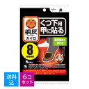 【送料込・まとめ買い×6個セット】小林製薬 桐灰カイロ くつ下用 甲に貼る 黒 5足分入 4901548603868