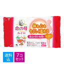 【送料込・まとめ買い×7個セット】小林製薬 命の母 カイロ 貼る 10個入
