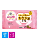 【送料込・まとめ買い×7個セット】小林製薬 命の母 カイロ じんわり温かい おなか用カイロ 10個入