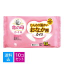 【送料込・まとめ買い×10個セット】小林製薬 命の母 カイロ じんわり温かい おなか用カイロ 10個入