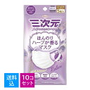 【送料込・まとめ買い×10個セット】興和 ほんのりハーブが香るマスク ラベンダーの香り 5枚入(4)