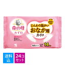 【送料込・まとめ買い10個入×24個セット】小林製薬 命の母 カイロ じんわり温かい おなか用カイロ 10個入