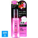 【送料込】クラシエ Kracie アウトバストリートメント いち髪 潤濃和草エッセンス 100ml　4901417619112