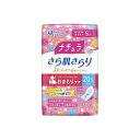 【送料込・まとめ買い×4個セット】大王製紙 ナチュラ さら肌さらり よれスッキリ 吸水ナプキン 20.5cm ロング 5cc 30枚入