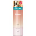 【今だけお得!数量限定セール】ロート製薬 RHOTO カラミー カラミンノーセバムローション 4987241192243◇