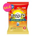 【今だけお得!数量限定セール】興和 ホッカイロ 貼らないレギュラー 10個入り (使い捨てカイロ) (4987067826209)