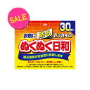 【今だけお得!数量限定セール】興和新薬 ホッカイロ ぬくぬく日和 貼るレギュラー 30個入 1個