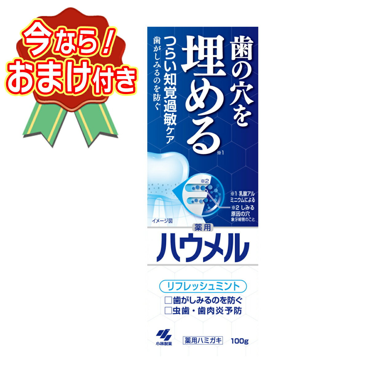 【送料込・おまけ付き】小林製薬 ハウメル リフレッシュミント 100g 薬用ハミガキ ...