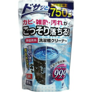 【送料込・まとめ買い×2個セット】【大容量】紀陽除虫菊 非塩素系 洗濯槽クリーナー 750g（過炭酸ナトリウム）(4971902070735)