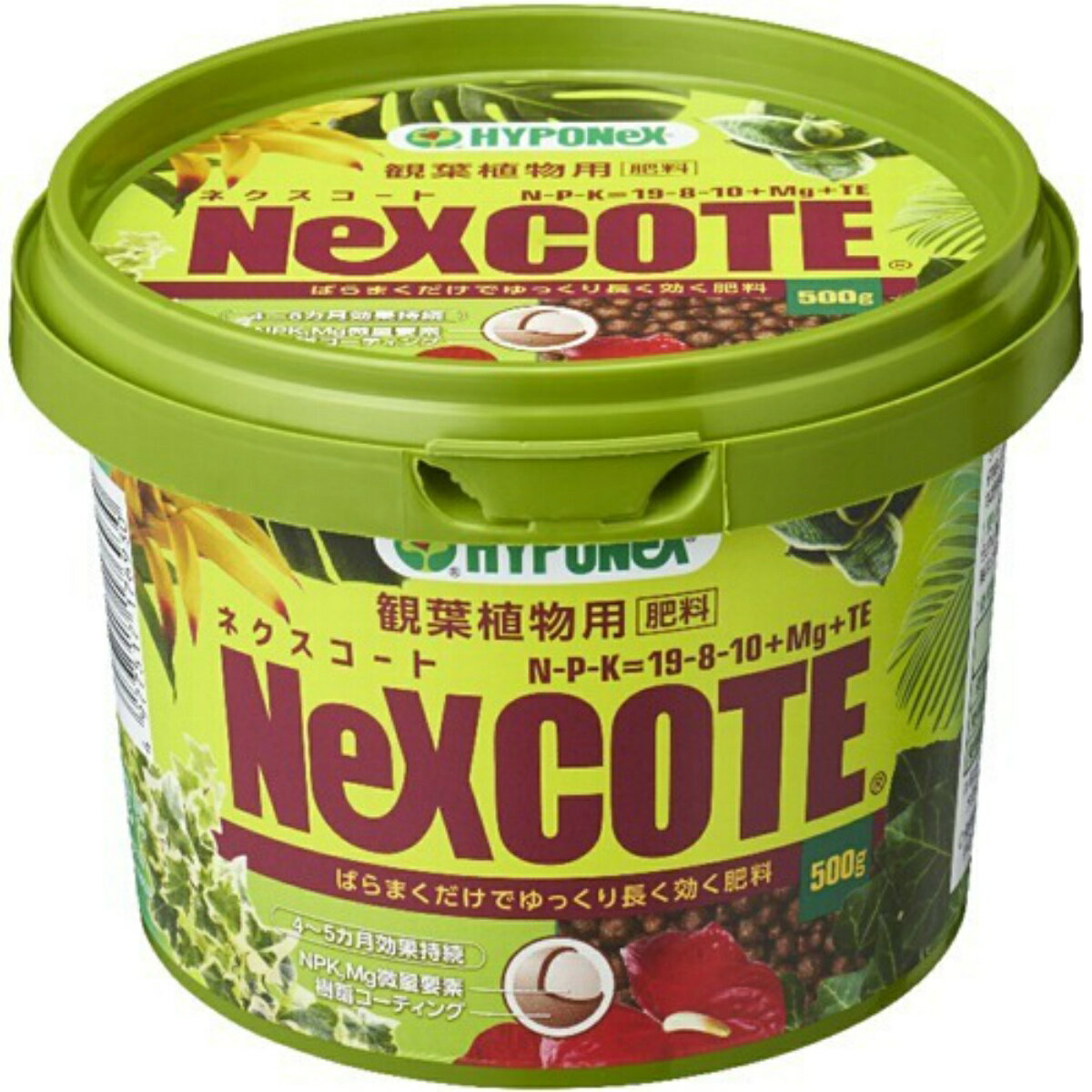 ハイポネックス ネクスコート 観葉植物用 肥料 500gのサムネイル