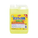 【今だけお得!数量限定セール】第一石鹸 ルーキーVおふろの洗剤