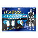 興和 バンテリンコーワ アイシングシート 冷却専用 12枚入