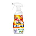 【送料込・まとめ買い×2個セット】アース製薬 アース コバエ 対策革命 スプレー キッチン用 駆除+発生予防 300g