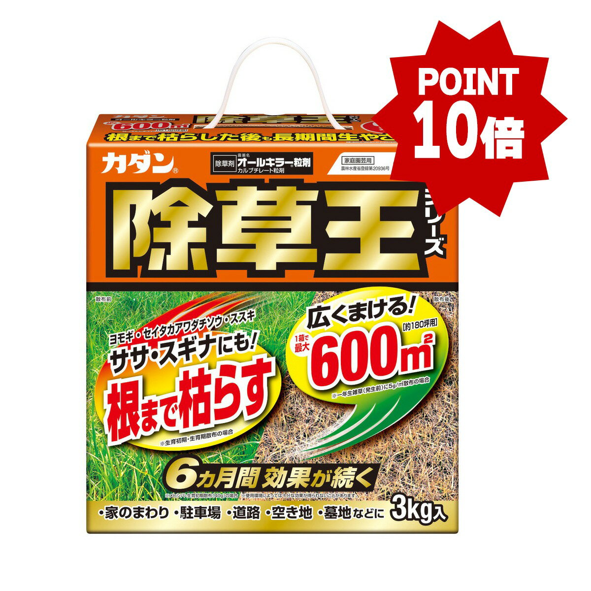 ＼24時間限定 ポイントアップ／ フマキラー カダン 除草王 オールキラー 粒剤 3kg ※お一人様1点限り ※在庫無くなり次第終了 【AL-time】〔R〕