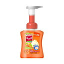 【送料込】レキッドベンキーザー 泡ミューズ フルーティーフレッシュ 本体 250ml 1個