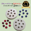 【マラソン中最大1000円OFF★クーポン多数】シリコンモールド ブルーベリー 木イチゴ フルーツ デザート アロマストーン アロマキャンドル キャンドル 粘土...