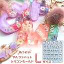 【楽天スーパーSALE限定★980円→780円】レジン モールド アルファベット シリコンモールド モールド レジン 英字 大文字 レジン モールド アクセサリー チャーム キャンドル アロマストーン シリコンモールド レジン 型 ハンドメイド クラフト用 型枠 h-027