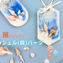 【9/30限定☆15%OFFクーポン配布!】貝殻 パーツ シェル 巻貝 ミニサイズ 天然素材 レジン ネイル パーツ ハーバリウム キャンドル 夏 海モチーフ シーシェル ナチュラルシェル ハンドメイド資材 クラフト素材