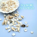 【9/30限定☆15%OFFクーポン配布!】貝殻 パーツ シェル MIX 約50g 巻貝 ミニサイズ 天然素材 レジン ネイル パーツ ハーバリウム キャンドル 夏 海モチーフ シーシェル ナチュラルシェル ハンドメイド資材 クラフト素材