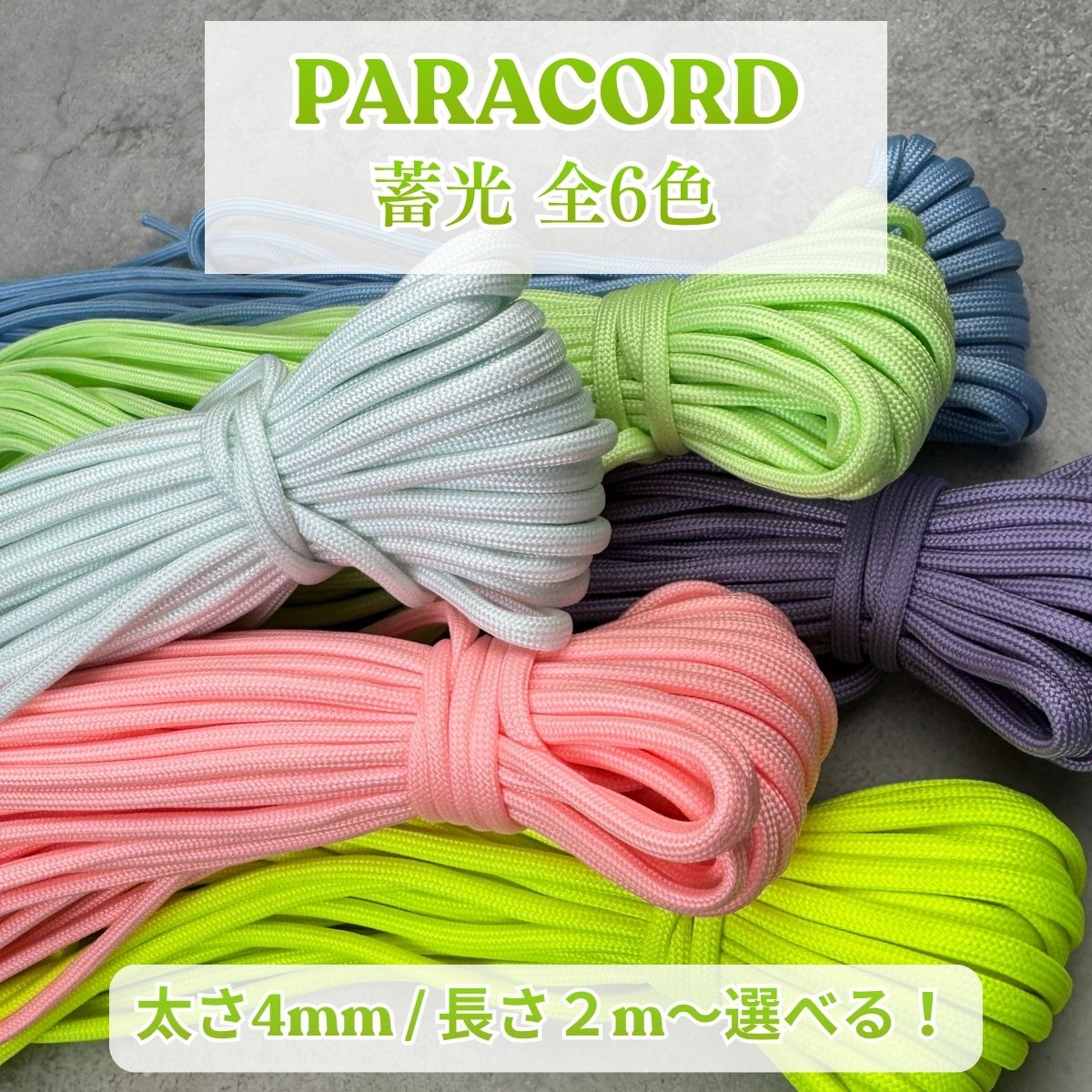 【期間限定!対象商品P2〜20倍】 ユタカメイク　紐　ザ・紐　中丸紐　10m　ホワイト　1巻 (AC101)