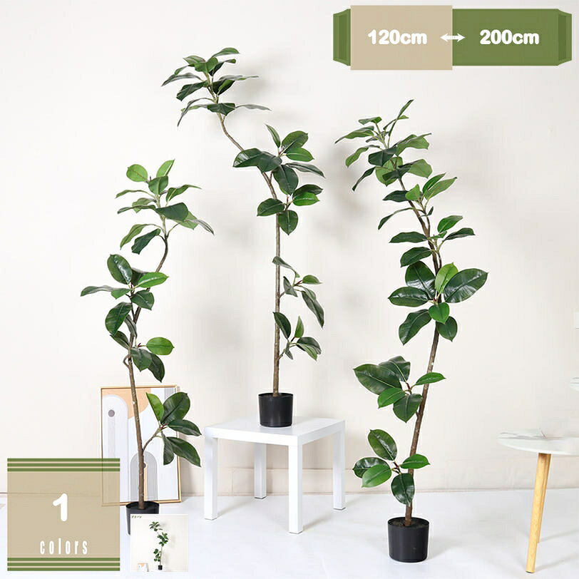 乐天商城 - ゴムの木 観葉植物 大型 本物そっくり フェイクグリーン 人工樹木 お祝い インテリア 引越し祝い 新築祝い 開店祝い 移転祝い アジアン おしゃれ 室内 オフィス ギフト プレゼント 花 フラワー 新年 クリスマス お祝い mysco