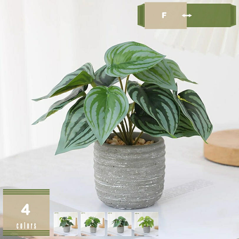 メイン素材：プラスチック、ポリエステル【高い品質】造花観葉植物の葉は絹の材質を採用して、光沢感を持ち、柔らかい手触りで、現実的で柔らかい生地とリアルな手触りがあって、まるで実際の新鮮な花藤です。本物の花をもとに作られた花びらや花柄と、明らか色彩で、いつも部屋に置いておいて明るい環境を作り出すことができます。【永遠に枯れない花】新鮮な花と異なり、造花は手入れで、水や日光、肥料を必要とせず、絹の布の素材は非常に耐久性があり、枯れないので、その美しさと生き生きを長期間維持することができます。そして、害虫について心配する必要はありません。【お手入れ不要な観葉植物】水やり、剪定、育成する必要がなく、とても便利です。枯れる心配が一切なく、ずっと美しい状態を保ちます。忙しい方や植物栽培が苦手な方でも、簡単にグリーンインテリアを楽しめます。【フェイクグリーン】季節を問わず置けて、室内で視覚的に植物を楽しめます。 水やりや植え替え、害虫対策などが不要のため、枯らしたり虫に悩まされたりする心配もなく安心できます。植物の世話が苦手な人でも気軽にグリーンを取り入れられることや、彩りによるリフレッシュ効果が期待できます。【プレゼント用】様々なシーンで活躍する、室内装飾やエントランス、リビングルーム、オフィス、ホテルなどに最適なアイテムです。自然な雰囲気を醸し出し、空間に豊かな緑をもたらします。ご自宅用はもちろん、大切な方へのお誕生日プレゼントや、開店祝い、新築祝い、引越し祝いにも最適です。【高い品質】造花観葉植物の葉は絹の材質を採用して、光沢感を持ち、柔らかい手触りで、現実的で柔らかい生地とリアルな手触りがあって、まるで実際の新鮮な花藤です。本物の花をもとに作られた花びらや花柄と、明らか色彩で、いつも部屋に置いておいて明るい環境を作り出すことができます。 【高い品質フェイクグリーン】精巧に作られた葉と幹は本物と見分けがつかない美しさ。ナチュラルな色彩とリアルな質感で、インテリアを格上げします。 【シンプルなデザイン】精巧に作られた葉と幹は本物と見分けがつかない美しさ。ナチュラルな色彩とリアルな質感で、インテリアを格上げします。 【メンテナンス不要】水や特別なお手入れが不要でいつまでも美しい状態を保てます。土や水を使わないので虫の心配もなく、室内の様々な場所に適応します。 また、フェイクといえどもグリーンを見ることで癒し効果があり、インテリアの一部として生活に潤いを与えます。 【お手入れ不要な観葉植物】水やり、剪定、育成する必要がなく、とても便利です。枯れる心配が一切なく、ずっと美しい状態を保ちます。忙しい方や植物栽培が苦手な方でも、簡単にグリーンインテリアを楽しめます。 【簡単に部屋の印象を変える】そのまま置くだけで、部屋の雰囲気がからりと変わり、部屋が明るく感じられます。 【どんな空間にもすっと馴染むデザイン】 和モダン、北欧、ナチュラル系など、さまざまなテイストにマッチ。リビング・玄関・オフィス・店舗など、置くだけで空間をセンスアップしてくれる万能グリーンです。 【様々な場所に適用】人工観葉植物はシンプルなデザインで、どこに置いても相性が良いです。ご自宅用はもちろん、オフィス、図書館、ショップ、バルコニー、または配置したい場所に最適です。大切な方へのお誕生日プレゼント、開店祝い、新築祝い、引越し祝いにも最適です ご注意： 1、サイズは手作業による測定のため、多少の誤差が生じる場合がございます。あらかじめご了承ください。 2、撮影時の照明やディスプレイなどの要因により、実際の商品と多少の差異が生じる場合がございます。実際の商品が基準となります。 3、輸送中に押しつぶされた場合、花や葉の形は数日で元に戻ります。 4、園芸用のためすり傷や表面の粗さが見られる場合があります。 人工観葉植物 グリーン 多肉植物 冬 モンステラ ユッカ 卓上ポット 卓上間仕切りポット 和風 洗面台 正方形 洗面所 背が高い 多肉 寄せ植え 外 装飾 外置き 素材 フェイクグリーン 大型 吊り下げ 卓上 ミニ 壁掛け アイビー アレカヤシ アガベ フェイクグリーン以下内容は照会専用であり、製品詳細説明ではありません。実際の状況フェイクグリーン 人工観葉植物 観葉植物 観葉樹 大型 造樹 おしゃれ インテリア 室内 屋外 フェイク植物 水やり不要 枯れない お手入れ不要 花粉 虫害の心配なし 盆栽植物フェイクグリーン 大型 インテリ アグリーン 造花 観葉植物 人工観葉樹 鉢 人工観葉植物 シンプル おしゃれ 植え オフィス 室内インテリア 歓葉植物 フェイク 人工歓葉植物フェイクグリーン 【高さ160cm】 リアル 人工観葉植物 フェイク 多枝 大型 造花 インテリア オフィス おしゃれ 観葉樹 インテリアグリーン 鉢付き 大型緑葉 本物そっくりプリザーブドフラワー 保存 保存ケース マーガレット 松 マリーゴールド マム 水色 ミニサイズ 緑 ミニブーケ 紫 紫色 メッセージ メッセージ付き メッセージカード付き メンズ モス観葉植物 フェイク ジャカランダ フェイクグリーン 大型 人工観葉植物 インテリアグリーン 造花 室内 観葉樹 インテリア フェイク植物 水やり不要 人工観葉樹人工観葉植物 グリーン 多肉植物 冬 モンステラ ユッカ 卓上ポット 卓上間仕切りポット 和風 160cm 15cm 2メートル 80cm 洗面台 正方形 洗面所 背が高い 多肉 寄せ植え 外 装飾 外置き 素材