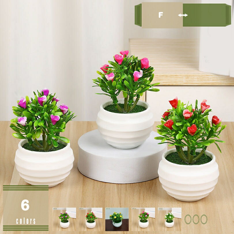500円OFFクーポン フェイクグリーン �