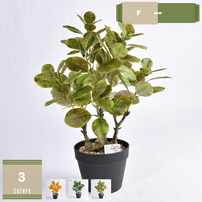 メイン素材：プラスチック【高い品質】人工観葉植物は高い品質のプラスチック製を採用しておりますが、一枚ずつの葉が鉢から伸びあがっている姿と表面に浮き出た斑が特徴で、遠くから見たら本物と見間違う程のリアル感です。【リアルなディテール】この人工観...