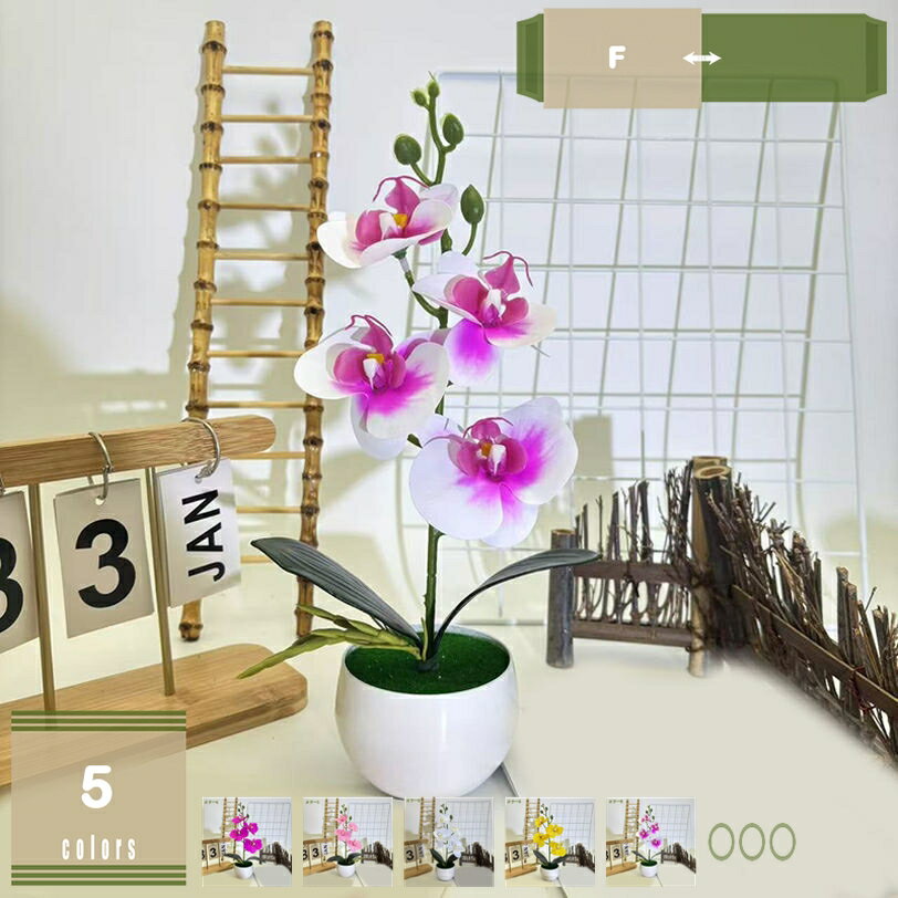 人工観葉植物 胡蝶蘭 造花 蘭花 インテリア 卓上 本物そっくり 置物 人工植物装飾 観葉植物 お世話不要 人工鉢植え装飾 枯れない花 フェイクグリーン 水やり不要 リアル インテリアグリーン フェイク鉢植え オフィス お祝い 贈り物 新築祝い お開店祝いギフトに最適