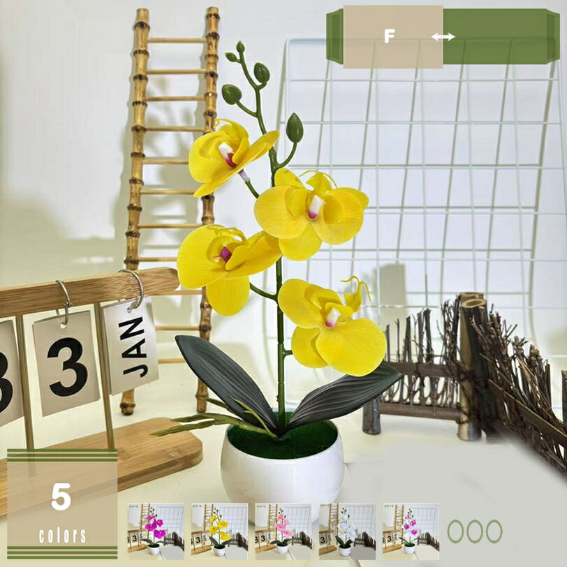 人工観葉植物 胡蝶蘭 造花 蘭花 インテリア 卓上 本物そっくり 置物 人工植物装飾 観葉植物 お世話不要 人工鉢植え装飾 枯れない花 フェイクグリーン 水やり不要 リアル インテリアグリーン フェイク鉢植え オフィス お祝い 贈り物 新築祝い お開店祝いギフトに最適