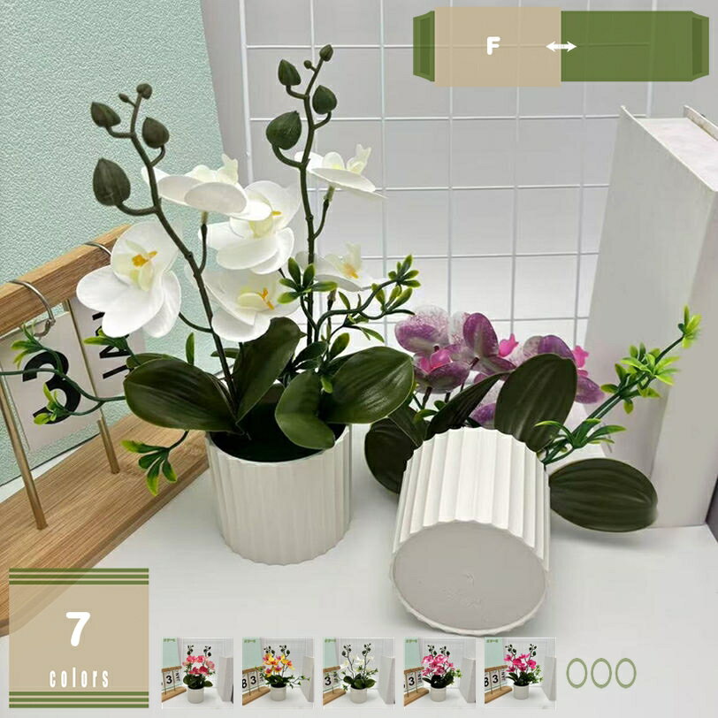 300円OFFクーポン フェイクグリーン 人工蘭の花 白い鉢入り 水やり不要 リアル 造花 花瓶付き インテリア 枯れない花 インテリアグリーン フェイク鉢植え 植木鉢 胡蝶蘭 ガーデニング プレゼント オフィス キッチン 装飾 お世話不要 室内 屋外 家の装飾 撮影用小道具