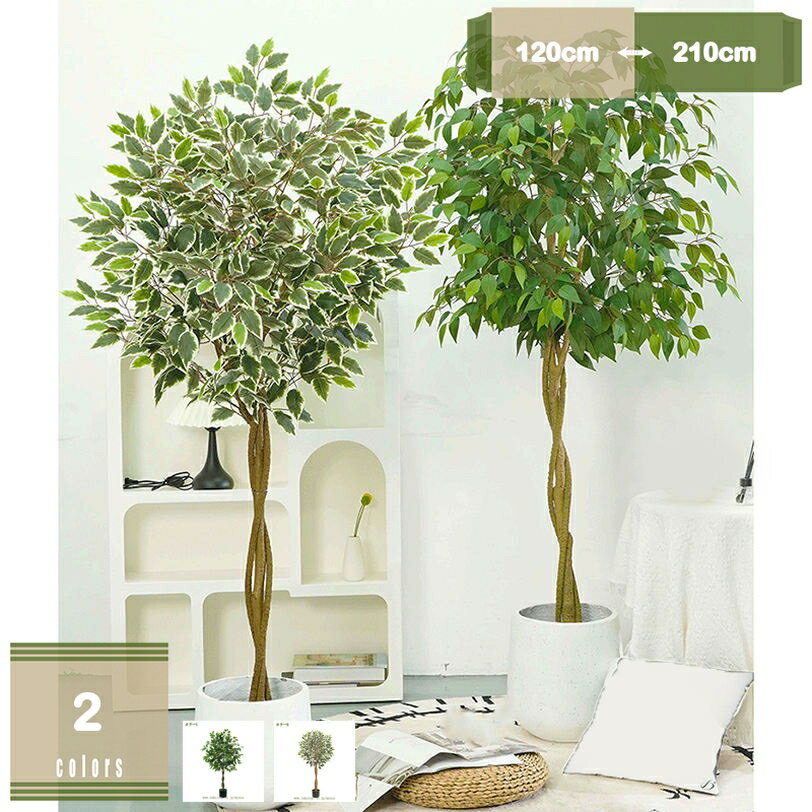 �ե��������꡼�� ���տ�ʪ �ե����� �͹����տ�ʪ �ꥢ�� �緿 ¤�� 100cm~210cm ����ƥꥢ ���� ���ե��� ������� ���� ���ռ� ȭ���� ���� �������� �Ϥ�ʤ� �ߺϿ�ʪ ���ä��ʤ� ���� �ۡ��� ���� ���۽ˤ� ����� ��������եȤ��פ�£��ʪ mysco