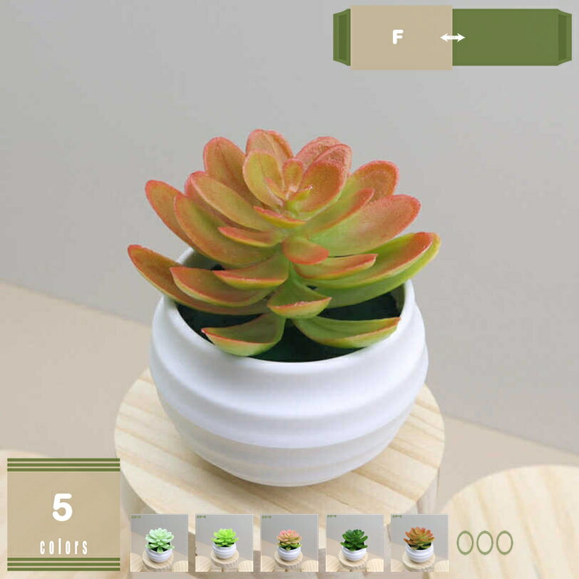300円OFFクーポン フェイクプラント 人工多肉植物 多肉植物 フェイク 小型フェイクデスクプラント ミニ多肉植物 鉢植え 装飾フェイク多肉植物 ホワイトポット フェイクグリーン ミニ 鉢付き 観葉植物 多肉 造花 おしゃれ 卓上 小型 置物 インテリア プレゼント mysco